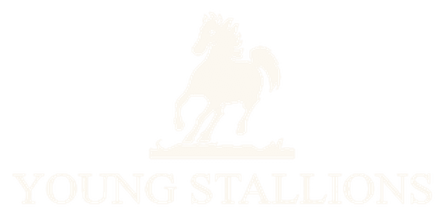 Young Stallions